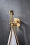 Гигиенический душ со смесителем Lemark Solo LM7165G, золото - 2 изображение
