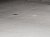 Керамогранит Kerama Marazzi Вставка Парнас серый лаппатированный 9,7х9,7 - 5 изображение