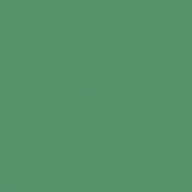 Керамогранит Радуга зеленый обрезной 60х60