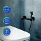 Гигиенический душ РМС SUS129BL-5-2 со смесителем, черный матовый - 3 изображение