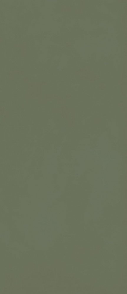 Плитка Grande Resin Look Verde Scuro Cold Satin 120х278