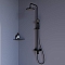 Душевая стойка RGW Shower Panels 59140126-04 на 3 режима черный