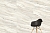 Керамогранит Vitra  MarbleSet Арабескато Норковый Лаппато R9 60х120 - 8 изображение