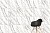 Керамогранит Vitra  MarbleSet Венато Светло-серый 7ЛПР 60х60 - 8 изображение